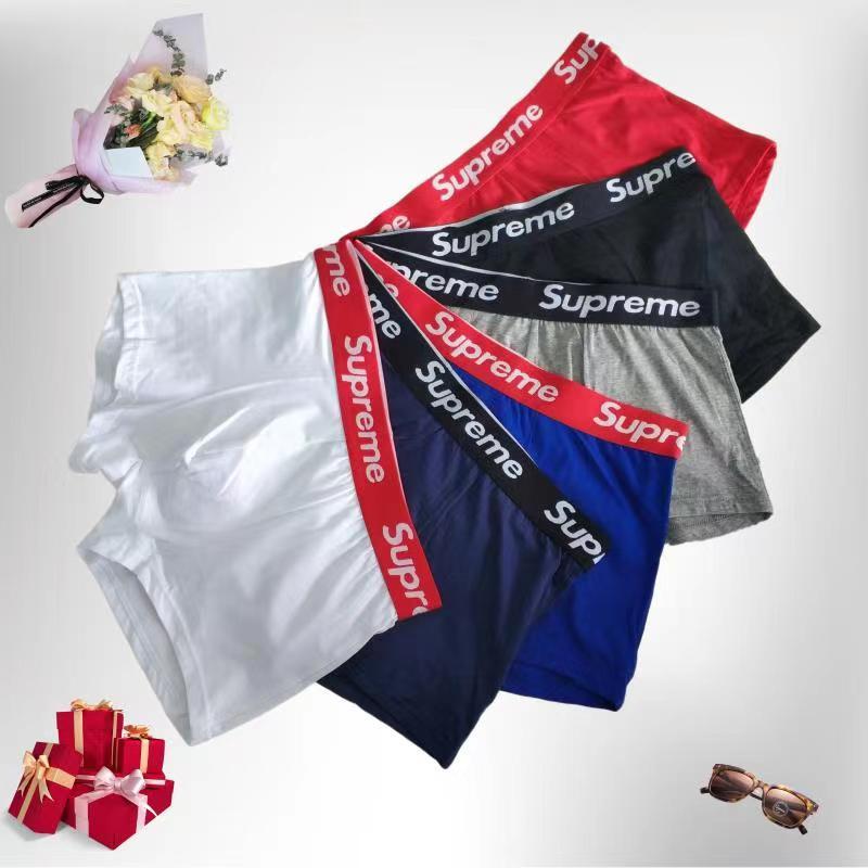 Other Brand Panties